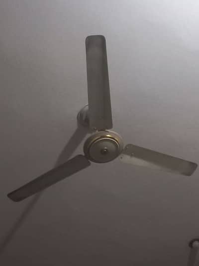 sufi 56"