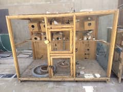 Cage and finches for sale