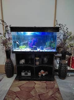 Fish aquarium big size complete set