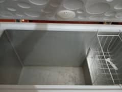 HAIER Chest freezer