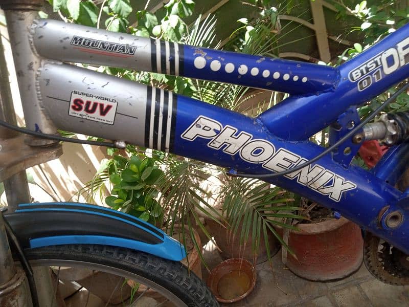 original Phoenix Mountian Sport cycle 16