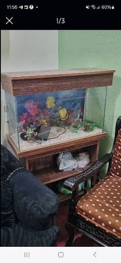 fish aquarium with 2 pumps
