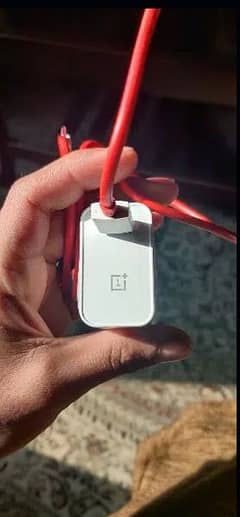 OnePlus original charger