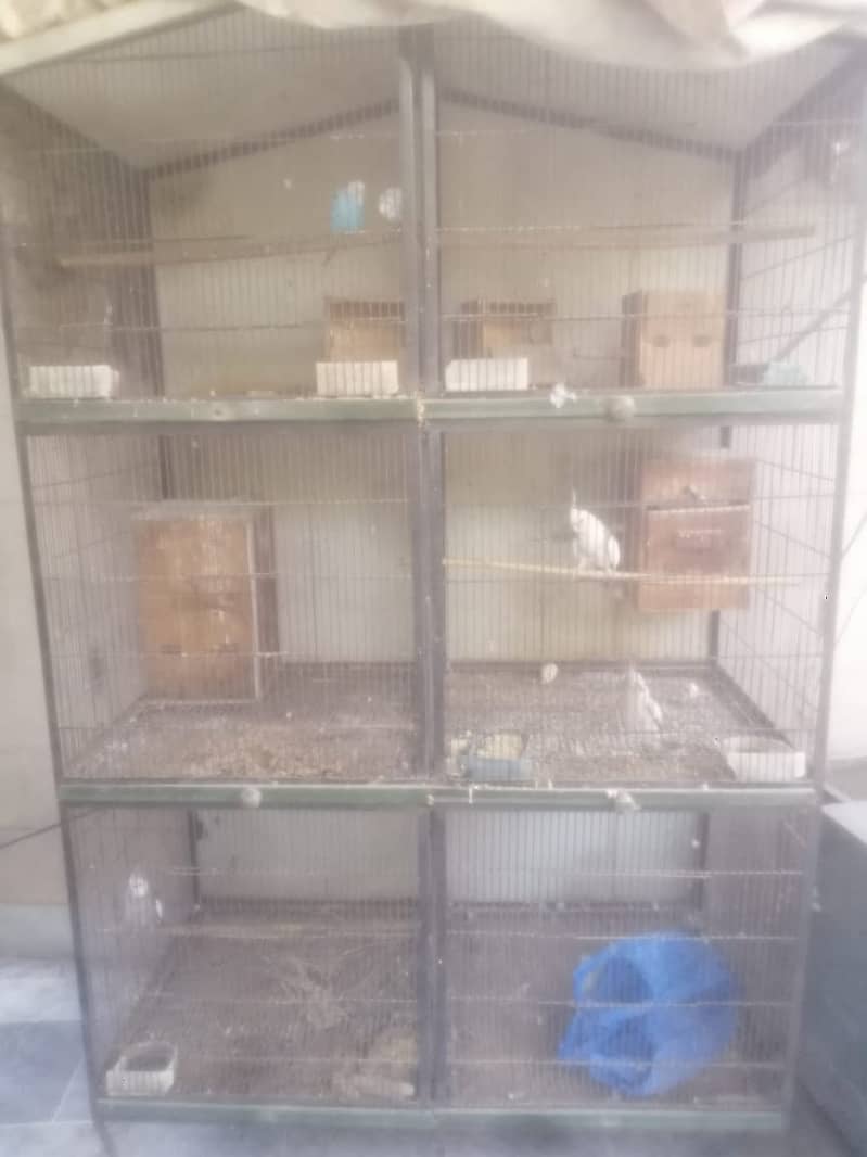 Parrots  Cage for Sale 2
