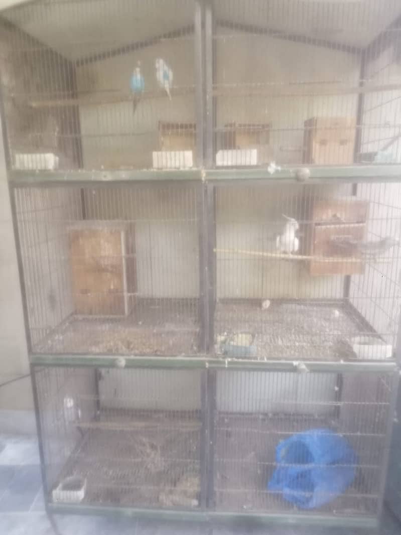 Parrots  Cage for Sale 4