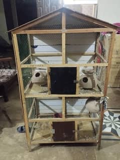 Birds cage / pingra for sell / urgently