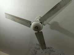 ceiling fans cooper wire