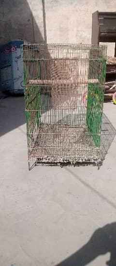 Urgent sale cage