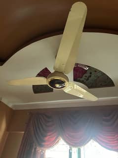 2 fans drawing room used . . clean