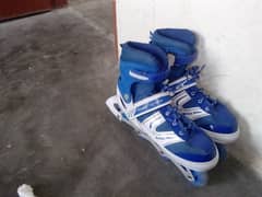 Skating Shoes 0