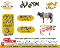 Book Your Qurbani Hissa in Karachi | Fresh Meat Delivery