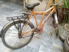 neat and clean Cycle for sale