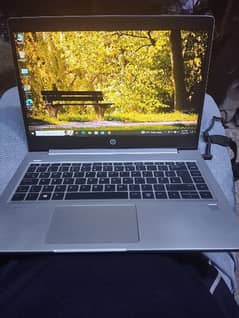 HP ProBook 445R G6