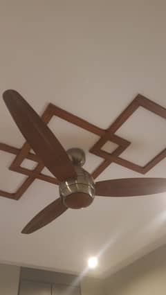 GFC Ovate ceiling fans 3 pieces
