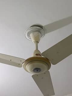 GFC ceiling fan for Sell(56)