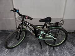 Green Bicycle in Perfect Condition