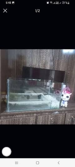Equarium for sale 2 by 1
