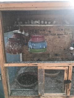 Finches With Cage For Sale