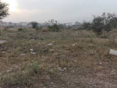 D-12/1 Residential Plot For sale Sized 2450 Square Feet