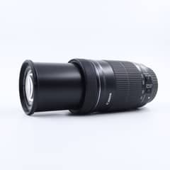 Canon 55 250 mm Zoom STM Autofocus Lens New Condition
