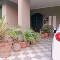 1 Kanal Fully Furnished Luxurious House Available For Rent in Block AA DHA Phase 4