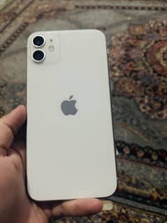 iPhone 11 PTA approved