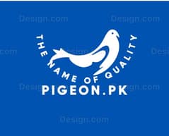 Imported Pigeon's 100% Orignal Breed's with Dilevery!!