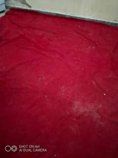 Red carpit Good condition