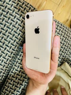 Iphone 8 Pta approved (water pack)
