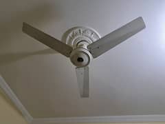 4 GFC ceiling fans for sale. Pure original copper fan.