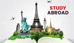 Experienced study abroad consultant