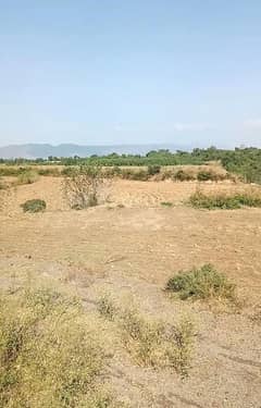 24 Kanal Commercial Land Available For Sale