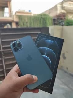 iPhone 12 pro PTA Approved