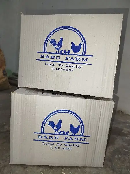 Fancy Top Quality Exotic Breeds Fertile Eggs Available Guranteed — photo 3