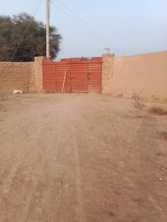 Cattle Farm For Sale In Reasonable  Price