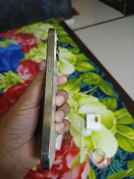 Iphone 14 Pro Max
256GB 6