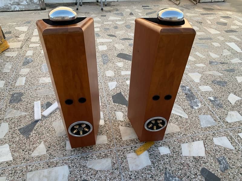 tannoy dimension td8(audiophile speakers) 9