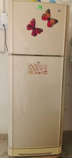 PEL Refrigerator king size