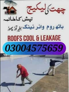 roof waterproofing and heat proofing specialist