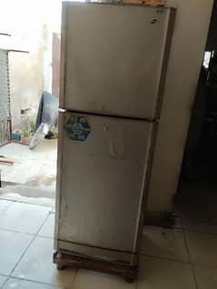 Pell refrigerator full size for sale