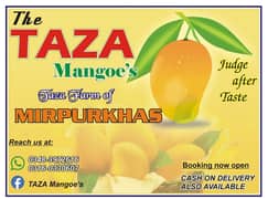 special discounted Fresh sindhri Mango season