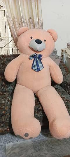 Full size 5ft Teddy bear