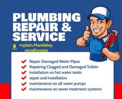professional plumber and electrician services