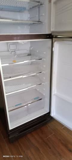 Kenwood brand New fridge for sale