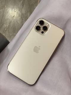 iPhone 12 Pro Max PTA approved
