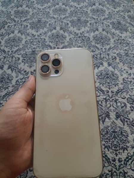 IPhone 12 Pro Max non PTA Gold 1