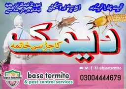 Termite Control, pest Spray, Deemak Control, Dengue spray, Beds bug