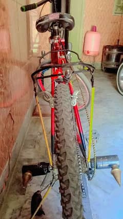 Phoenix Cycle for sale only message on Whatsapp