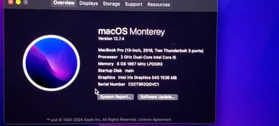 Macbook Pro (13 inch 2016)