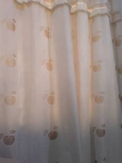 (5)Golden coloured curtains.